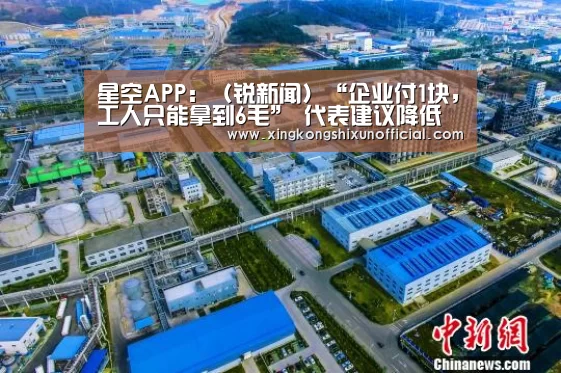 星空APP:(锐新闻)“企业付1块,工人只能拿到6毛” 代表建议降低社保费率(图1) 星空APP
