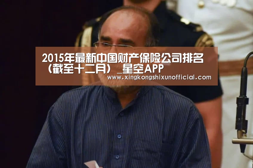 2015年最新中国财产保险公司排名(截至十二月)_星空APP(图2) 星空APP