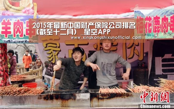 2015年最新中国财产保险公司排名(截至十二月)_星空APP(图4) 星空官网