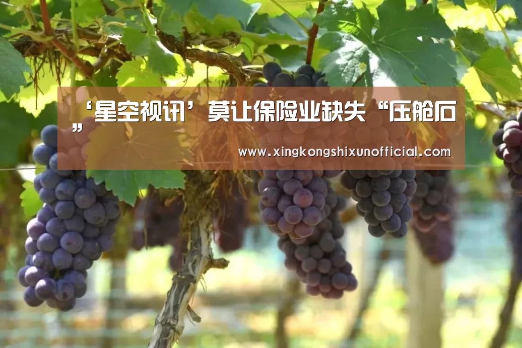 ‘星空视讯’莫让保险业缺失“压舱石”(图1) 星空下载