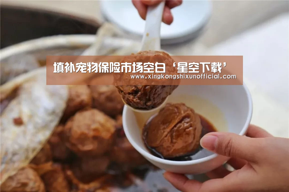 填补宠物保险市场空白‘星空下载’(图2) 星空APP