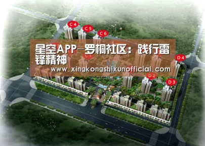 星空APP-罗桐社区:践行雷锋精神(图1) 星空下载