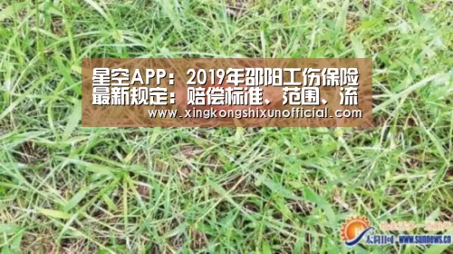 星空APP:2019年邵阳工伤保险最新规定:赔偿标准、范围、流程(图2) 星空官网