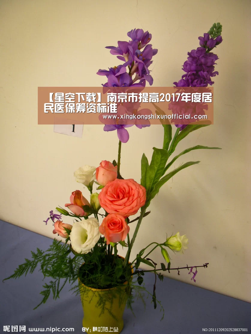 【星空下载】南京市提高2017年度居民医保筹资标准(图2) 星空下载